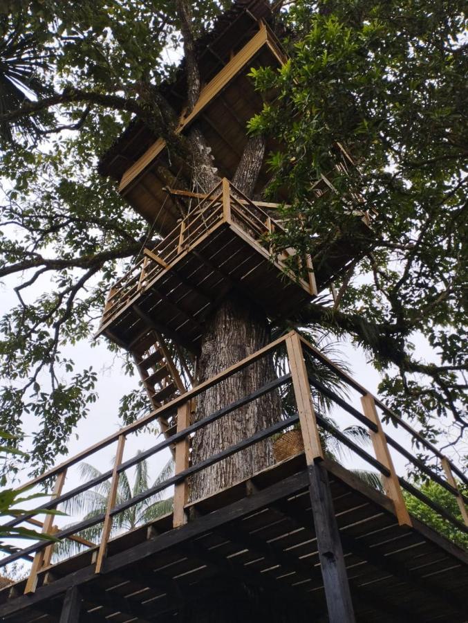 Biohotel Arara River Leticia Exterior photo