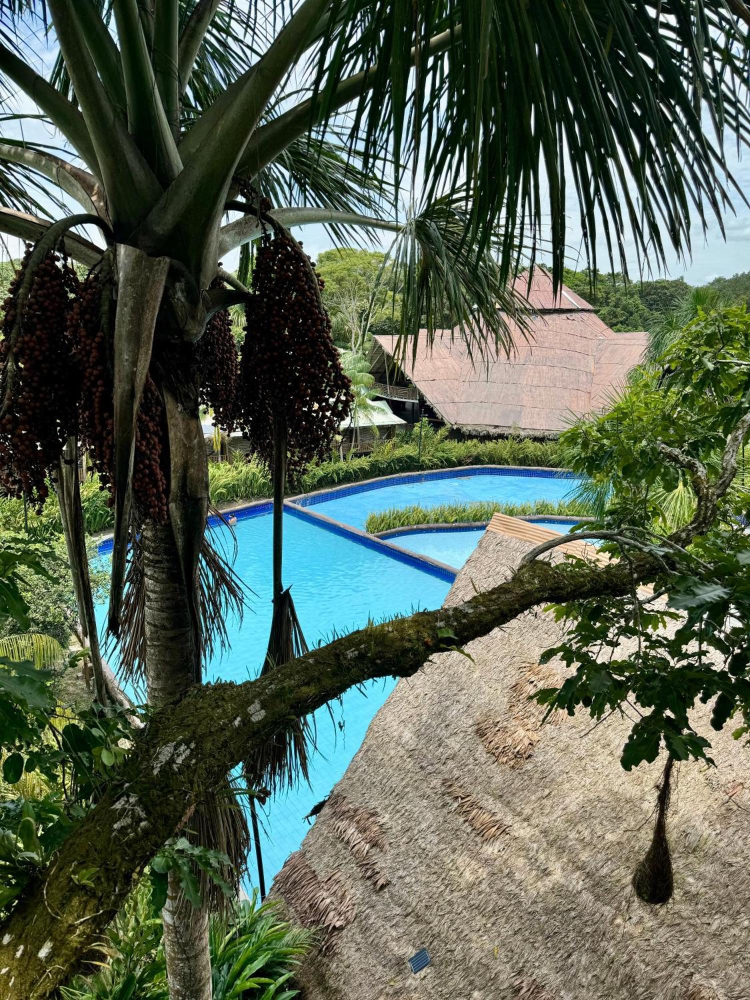 Biohotel Arara River Leticia Exterior photo